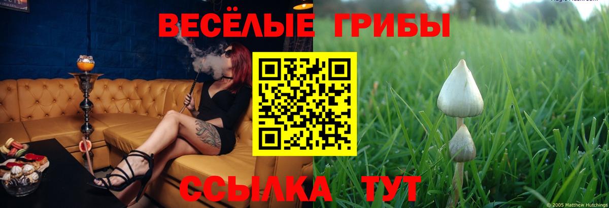 БУТИРАТ Ликино-Дулёво